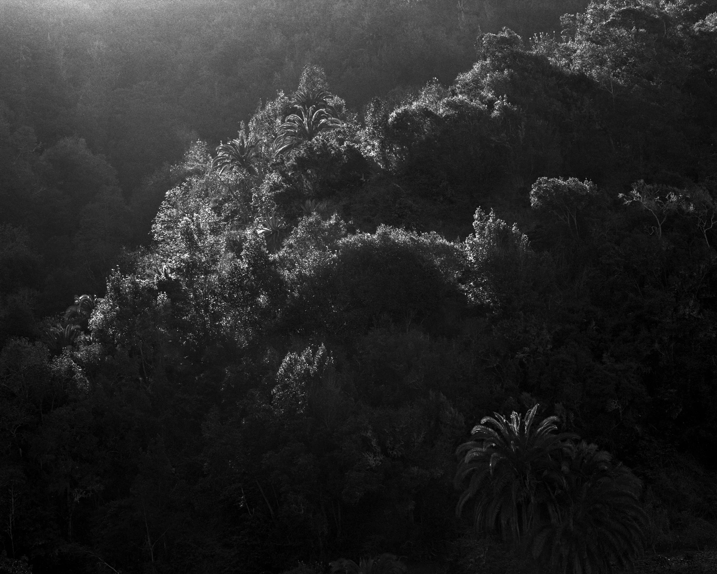 BLANCO // —
